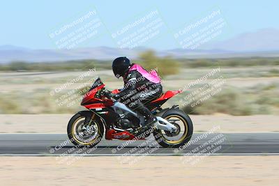 media/Apr-13-2024-SoCal Trackdays (Sat) [[f1617382bd]]/1-Back Straight Speed Pans (930am)/